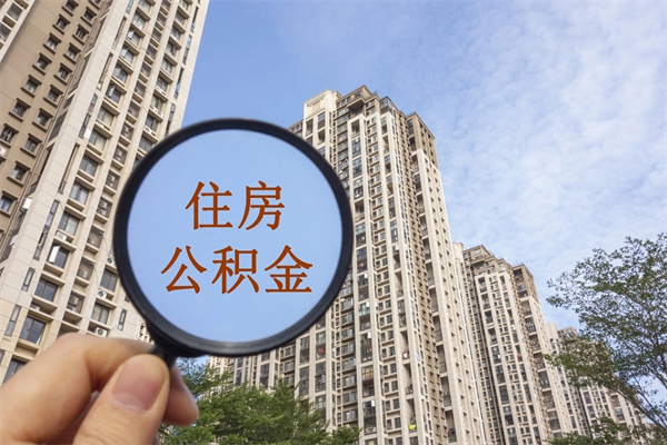 山东在职人员可以把公积金取出来吗（在职人员能不能提取公积金）